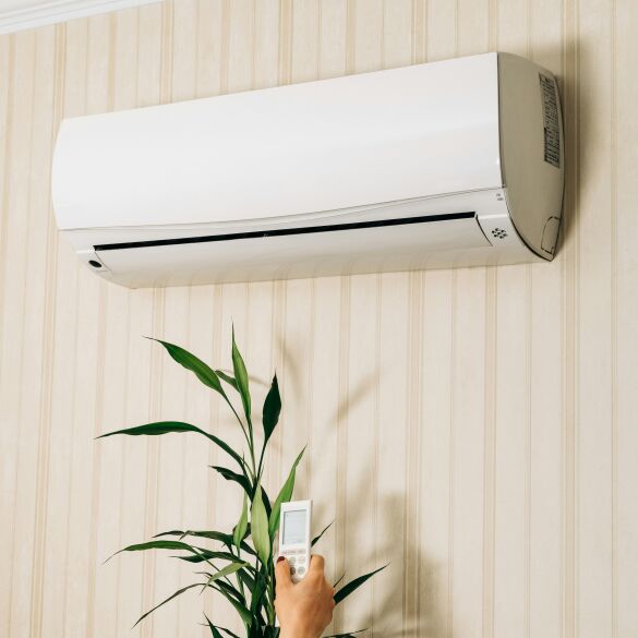 Bimstore Ventilation & Cooling Collection