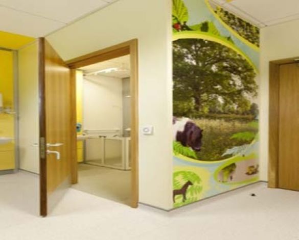 Image of Altro Marine 20