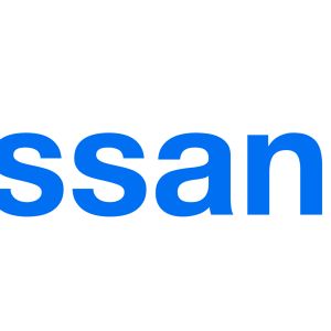 Logo: Assan Panel
