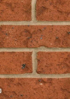 Technical Data Sheet