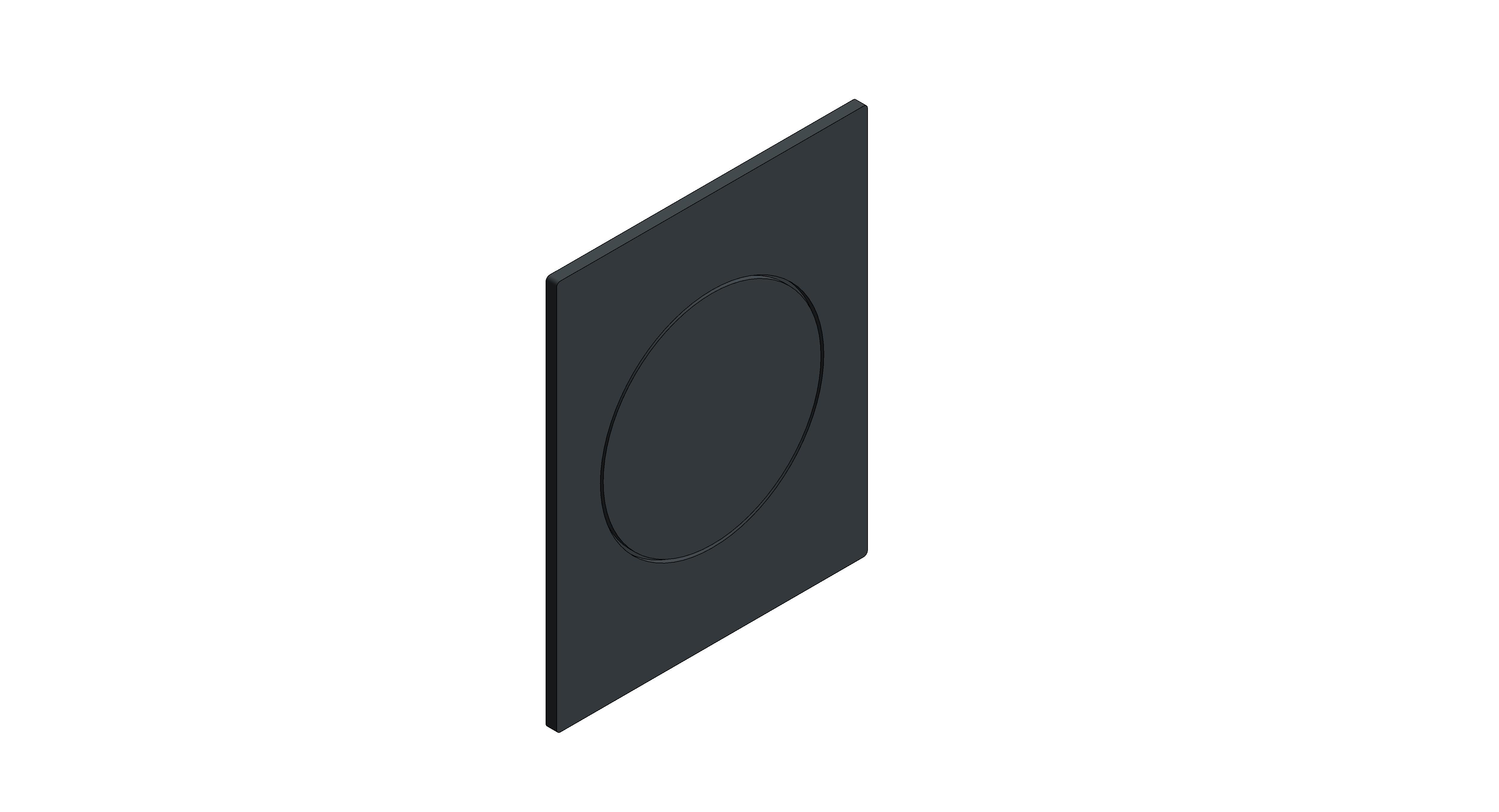 Products: SPA Flush Plate (104645GL00)