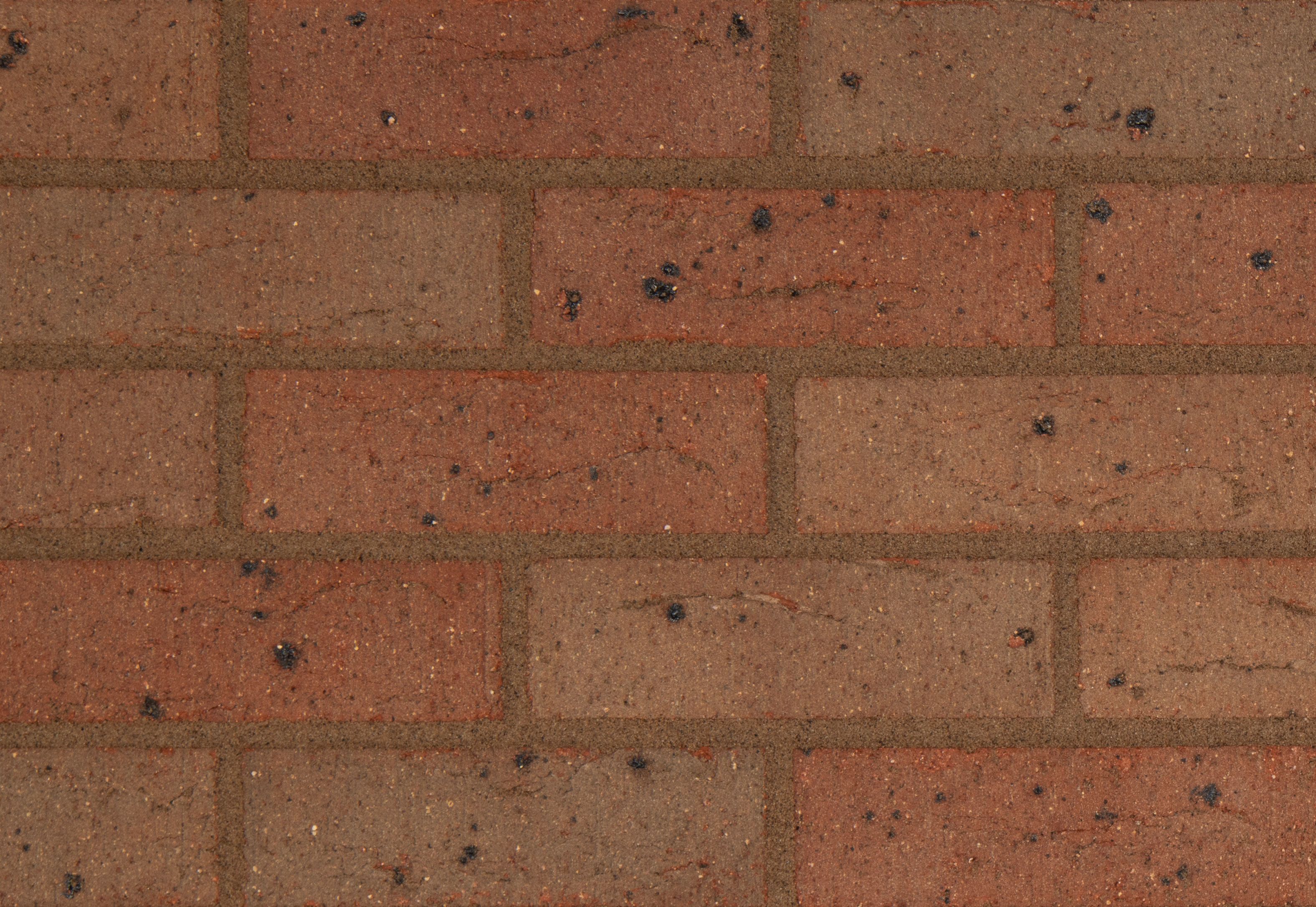 Product: Blockleys - 65mm Lakeland Mixture