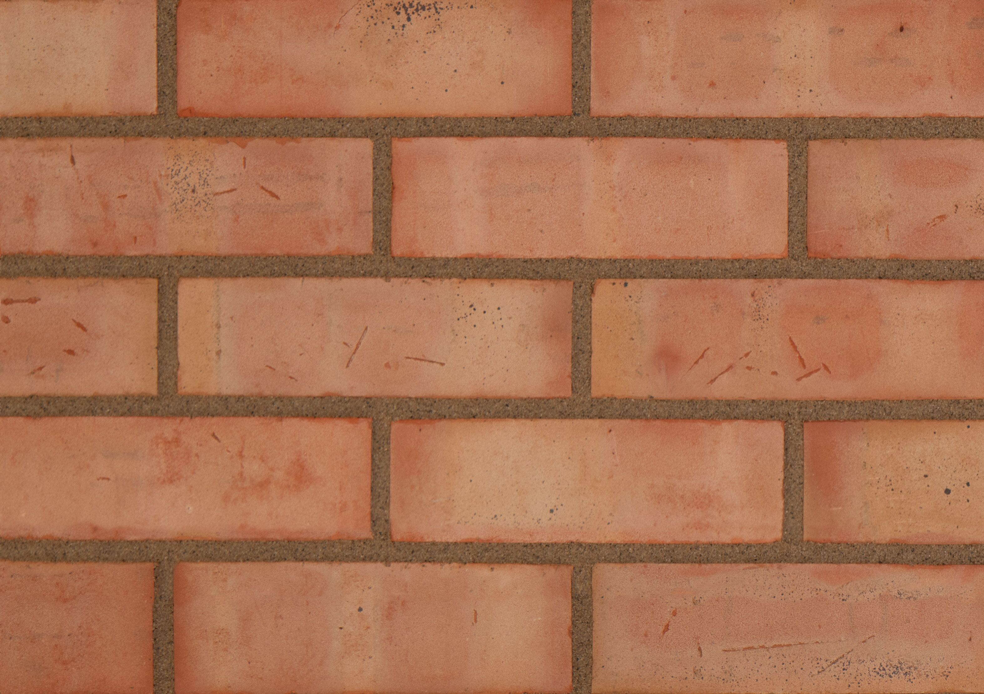 Product: Floren - 65mm The Classic Common