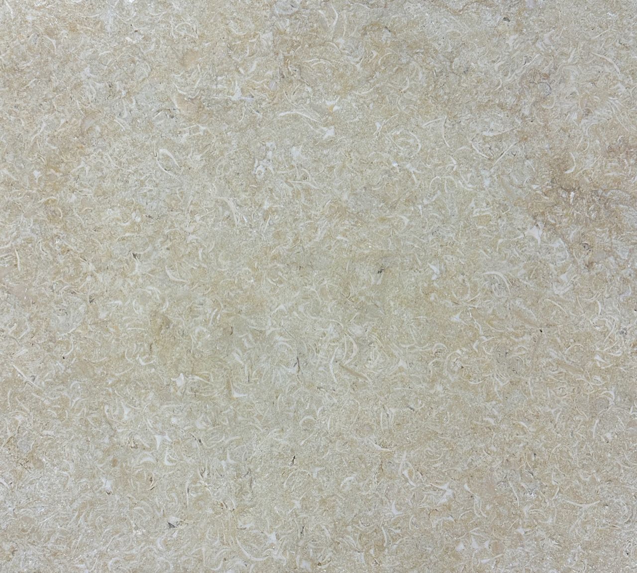 Image of Limestone - Crema Novelda Brushed Pavers