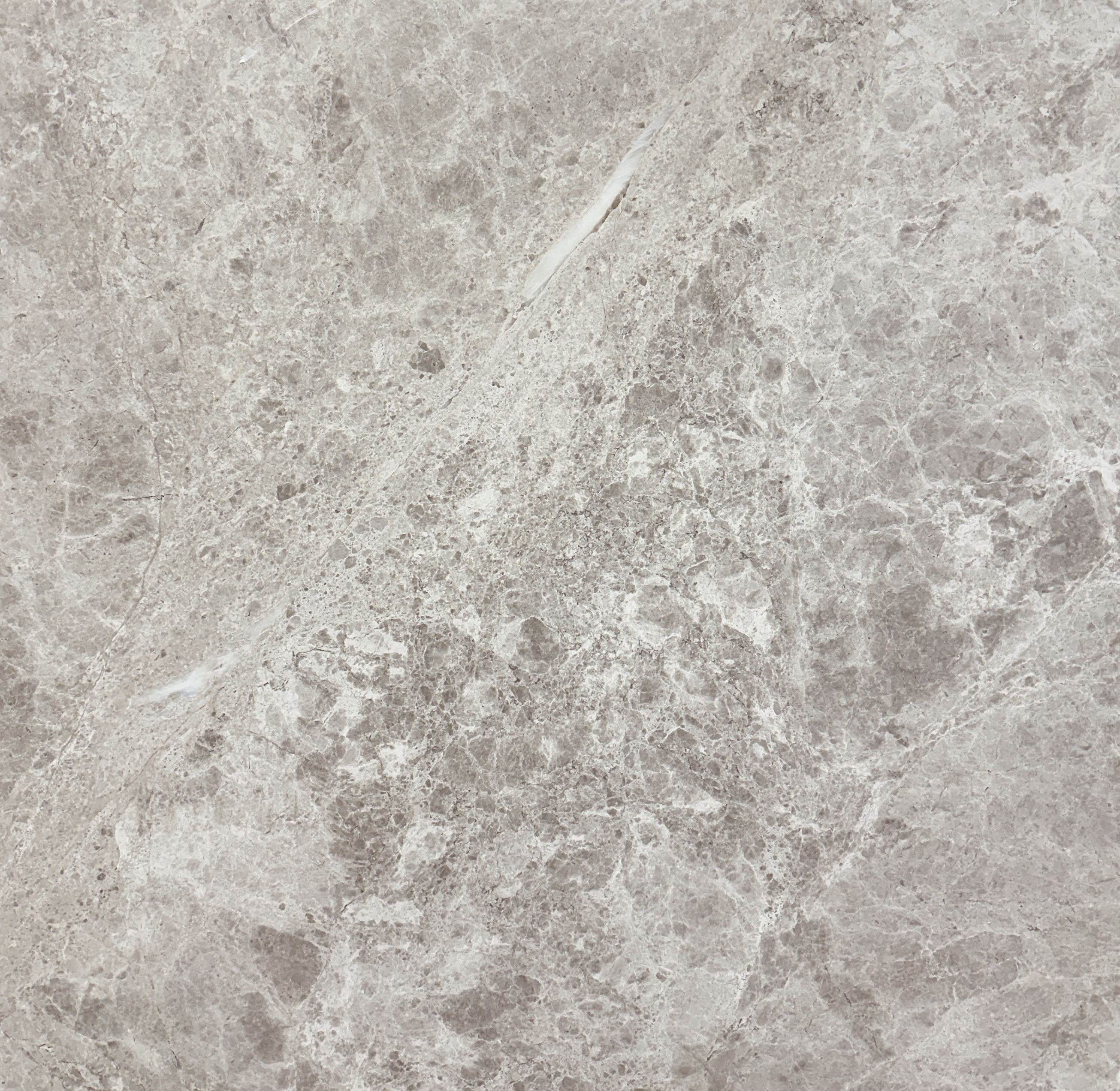 Image of Limestone - Turko Argento Pavers