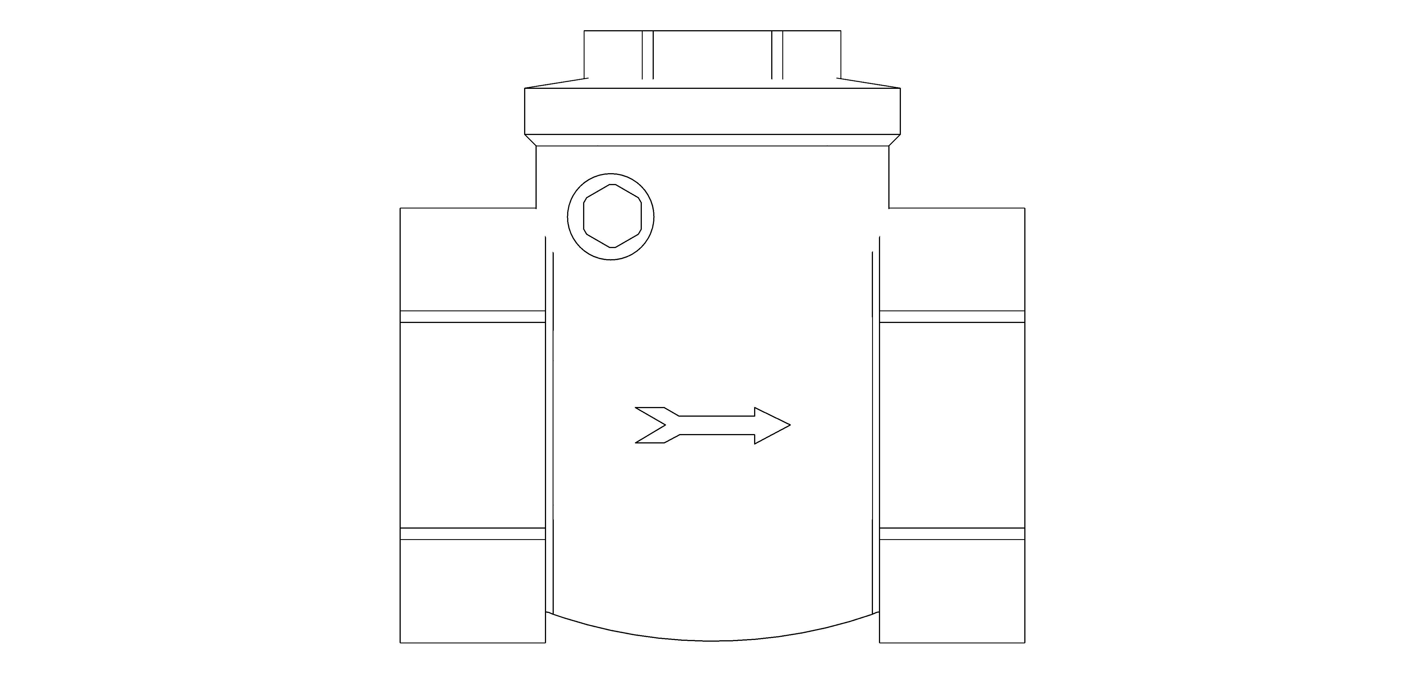 Product: BCHK100006 - Check Valves