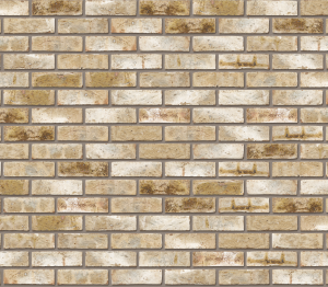 Product: Con Mosso Facing Brick