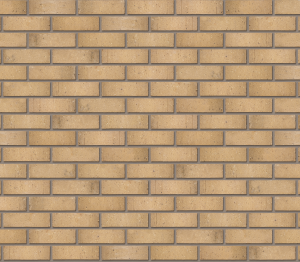 Product: Nevada Buff Facing Brick