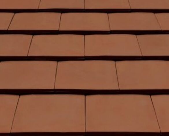 Product: 20/20 Roof Tile