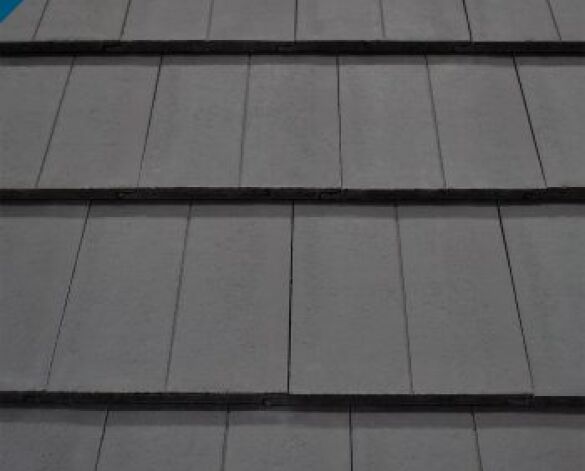 Product: Dual Danum TLE Roof Tile