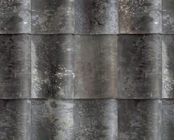 Product: Old Hollow 451 Roof Tile