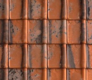 Product: Tempest 44 Roof Tile