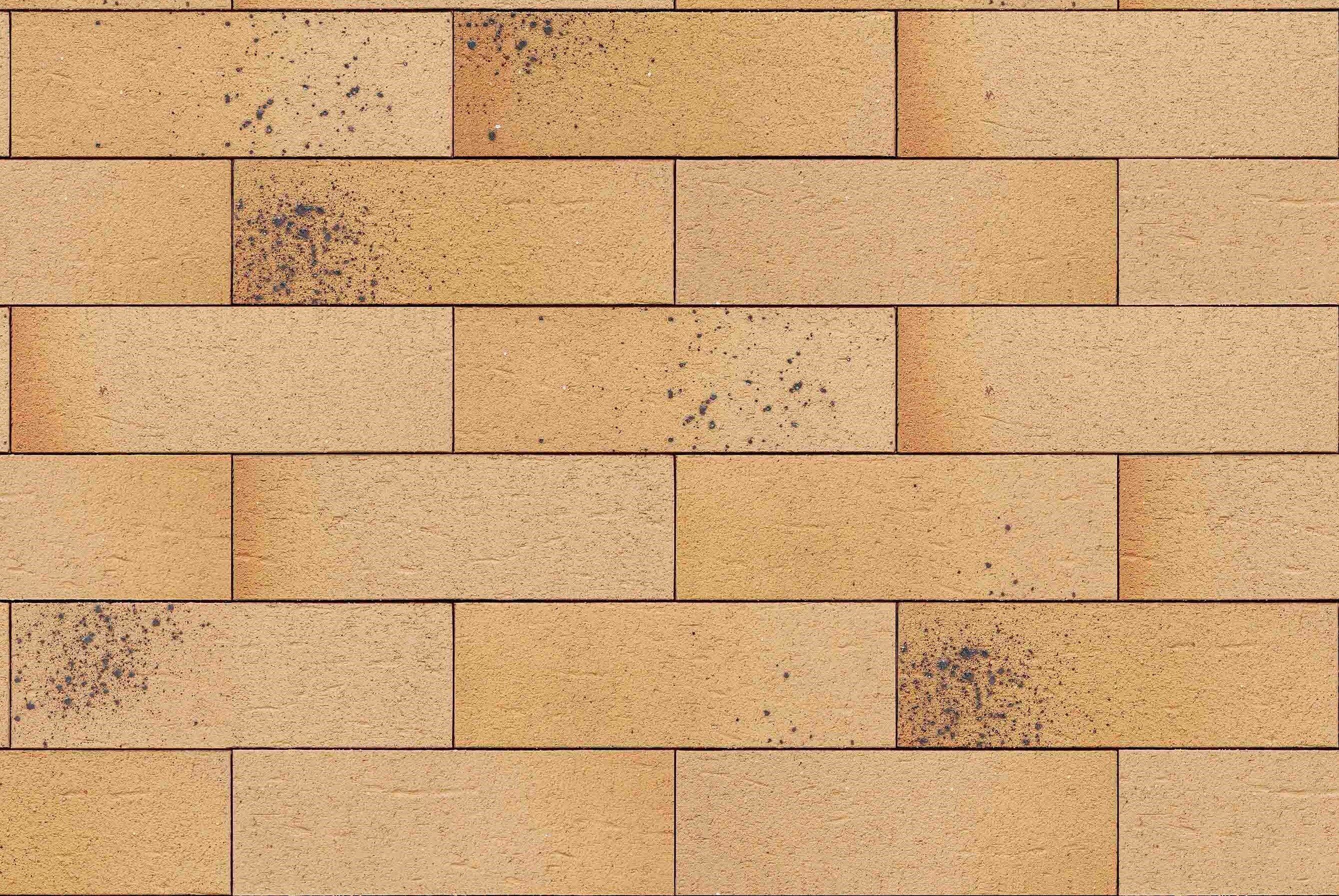 Product: Papya Yellow Fasanis (Sanded Finish) Manufactured Brick Slips