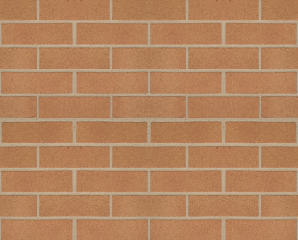 Product: Swarland Golden Thatch Facing Brick
