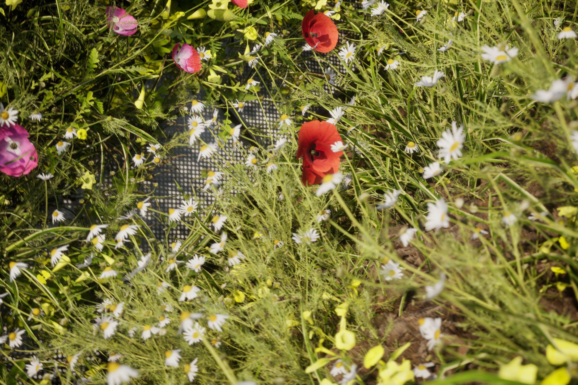 Sotech Optima Meadow Rainscreen Facade Panel 02